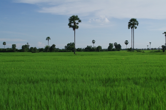 cambodia 10