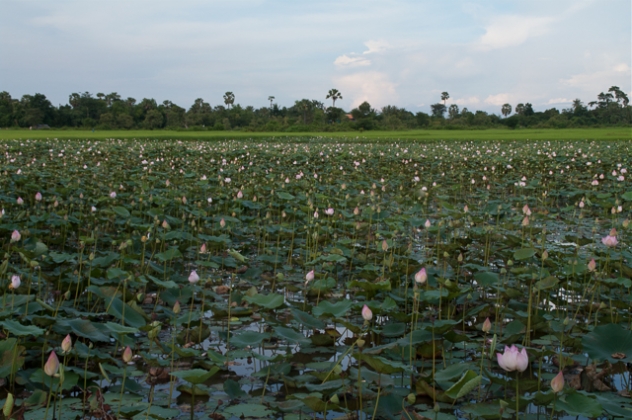 cambodia 11