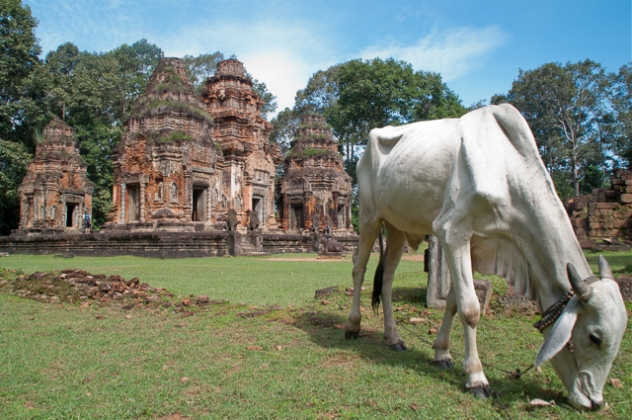 cambodia 21