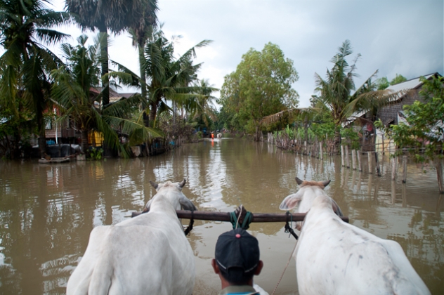 cambodia 22