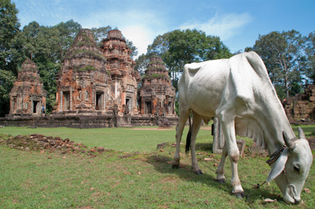 To Cambodia